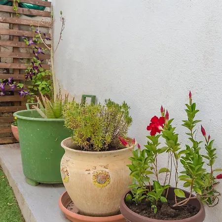 Casa de Férias House Sanja *